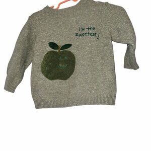 Zara green apple French knit sweater pullover sz 9-12m baby unisex button neck